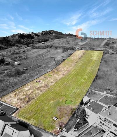 Prodej pozemku pro bydlení, Mikulov, M. Majerové, 7881 m2