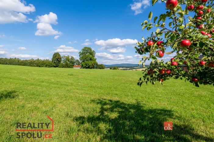 Prodej louky, Chrastava - Horní Chrastava, Frýdlantská, 7126 m2