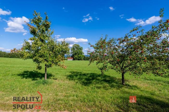 Prodej louky, Chrastava - Horní Chrastava, Frýdlantská, 7126 m2