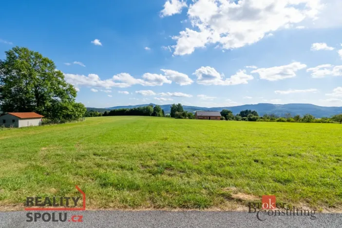 Prodej louky, Chrastava - Horní Chrastava, Frýdlantská, 7126 m2