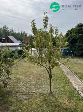 Prodej zahrady, Litvínov - Horní Litvínov, 440 m2