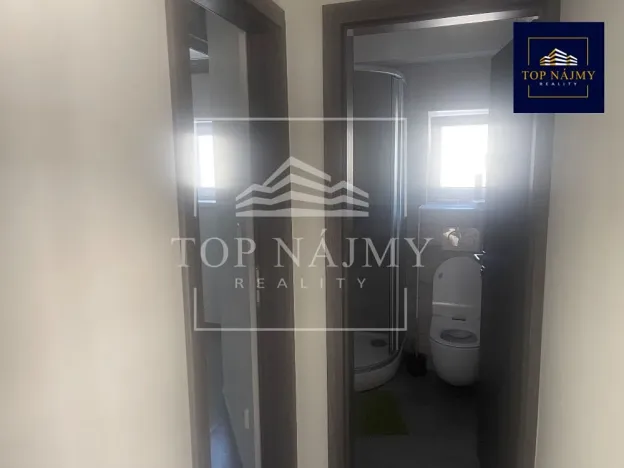 Pronájem skladu, Ostrava, Opavská, 500 m2