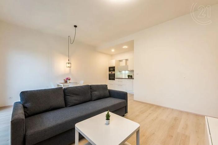 Pronájem bytu 2+kk, Plzeň, Bolevecká, 62 m2