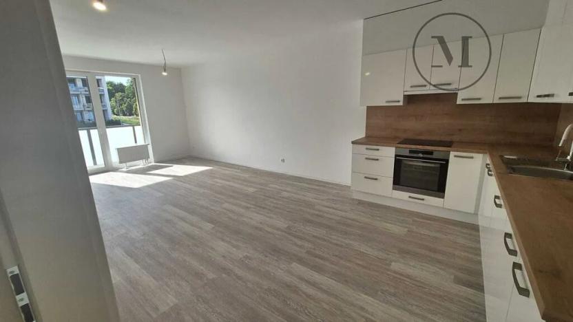 Pronájem bytu 2+kk, České Budějovice, Branišovská, 78 m2