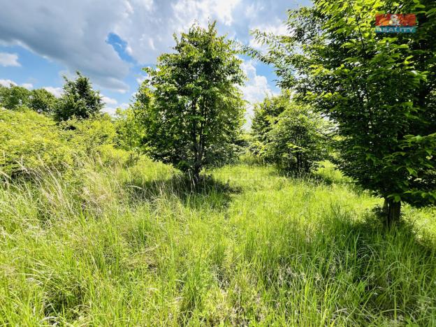 Prodej pozemku, Veselí nad Moravou, 1026 m2