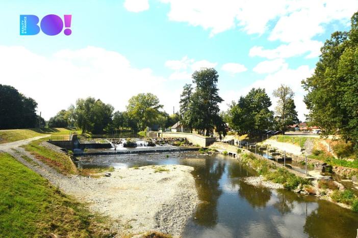 Prodej zahrady, Opava, 270 m2