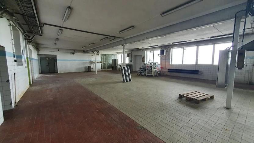 Dražba výrobních prostor, Nížkov, 7316 m2