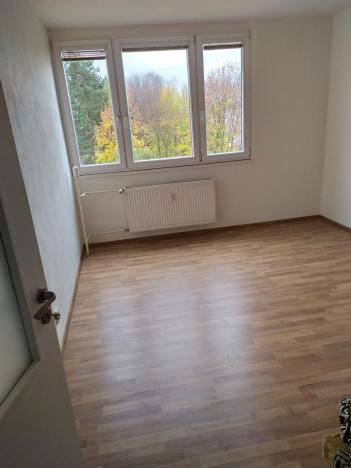 Pronájem bytu 1+1, Ostrava - Hrabůvka, Krestova, 40 m2