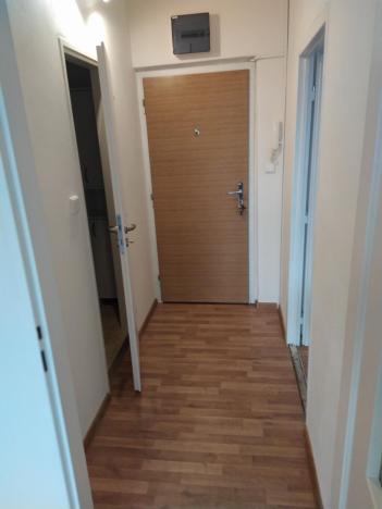 Pronájem bytu 1+1, Ostrava - Hrabůvka, Krestova, 40 m2