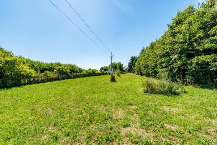 Prodej zahrady, Lukov, 4446 m2