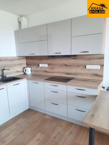 Pronájem bytu 1+kk, Olomouc, Aloise Rašína, 31 m2