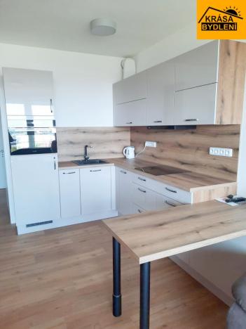 Pronájem bytu 1+kk, Olomouc, Aloise Rašína, 31 m2