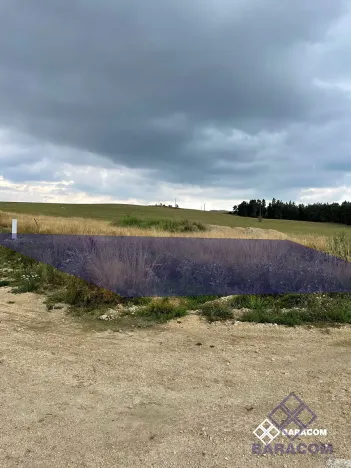 Prodej pozemku pro bydlení, Tachov, Rumplerova, 593 m2