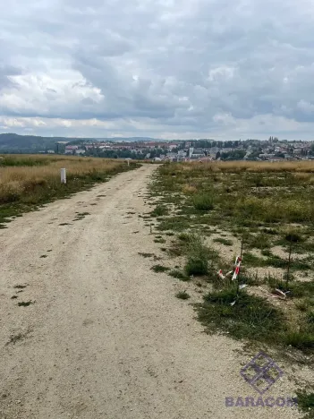 Prodej pozemku pro bydlení, Tachov, Rumplerova, 593 m2