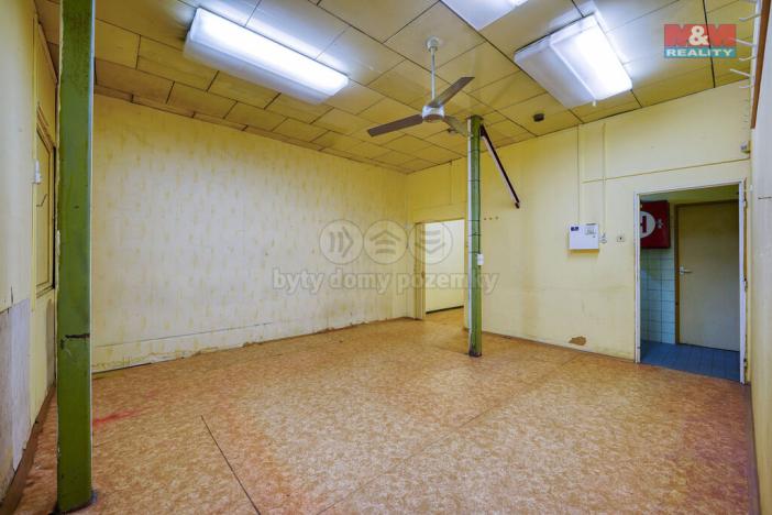 Pronájem obchodního prostoru, Třemošná, Plzeňská, 133 m2