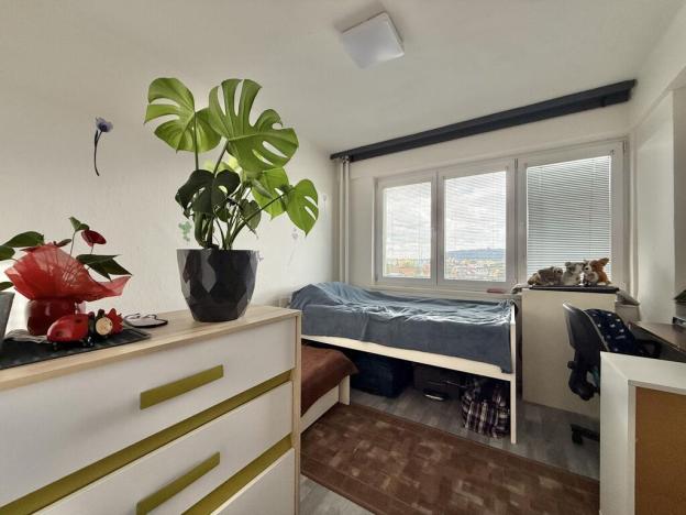 Pronájem bytu 2+1, Krnov - Pod Bezručovým vrchem, Albrechtická, 55 m2