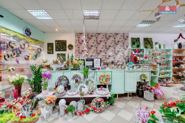 Pronájem obchodního prostoru, Třemošná, Plzeňská, 133 m2