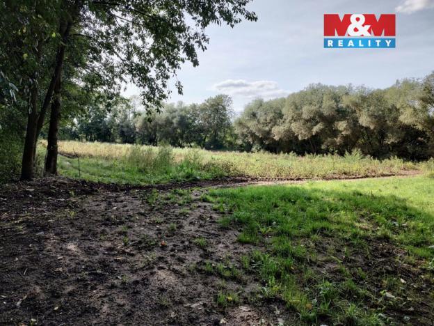 Prodej pole, Libořice, 5882 m2