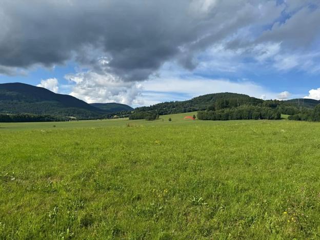 Prodej pozemku pro bydlení, Loučná nad Desnou, 1123 m2