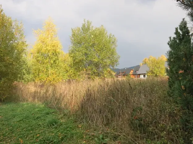 Prodej pozemku pro bydlení, Loučná nad Desnou, 1123 m2