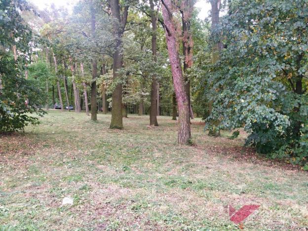 Pronájem bytu 3+kk, Milovice - Mladá, Komenského, 45 m2