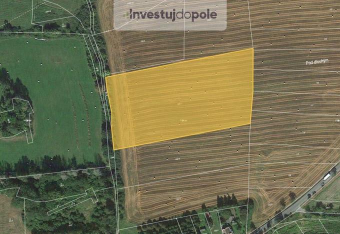 Prodej pole, Neurazy - Soběsuky, 17343 m2
