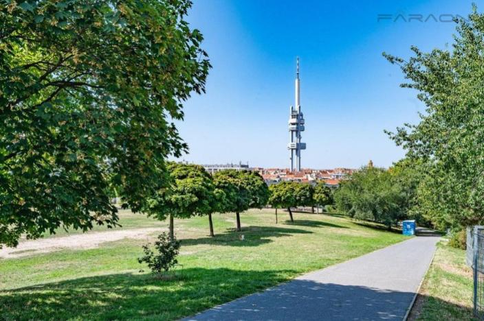 Prodej bytu 4+kk, Praha - Žižkov, Jeseniova, 125 m2