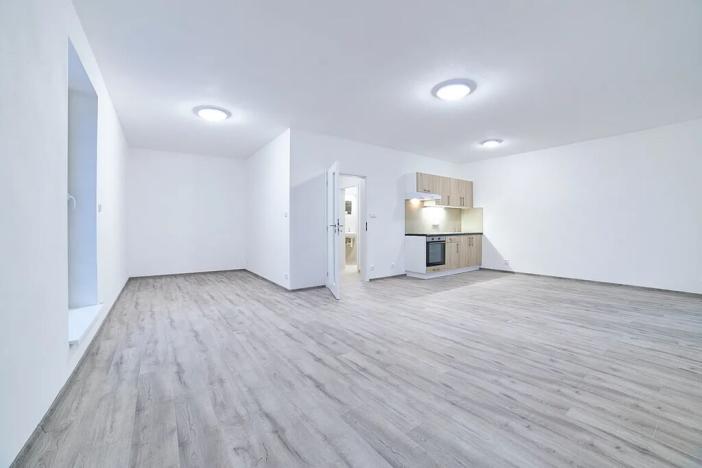 Pronájem bytu 1+kk, Plzeň, Rejskova, 50 m2