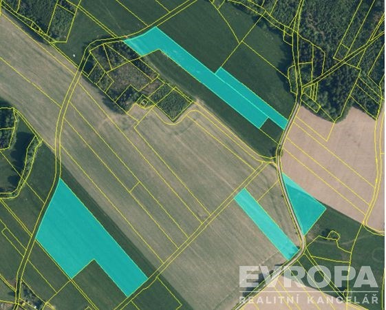 Prodej pole, Radčice, 43076 m2