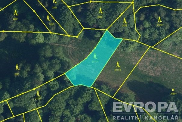 Prodej pole, Radčice, 43076 m2