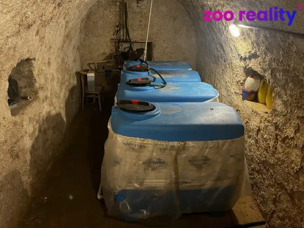 Prodej vícegeneračního domu, Býčkovice, 160 m2