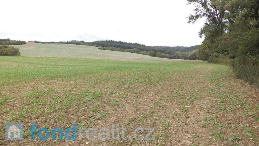 Prodej pozemku, Traplice, 19641 m2