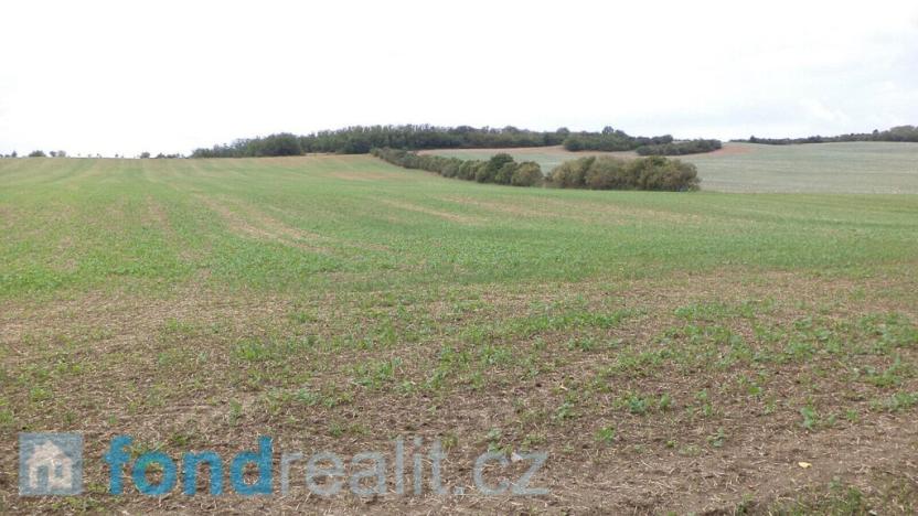 Prodej pozemku, Traplice, 19641 m2