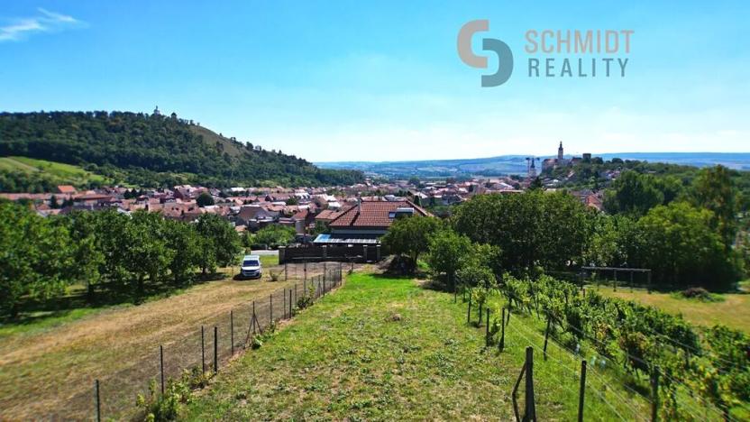 Prodej sadu/vinice, Mikulov, M. Majerové, 1610 m2