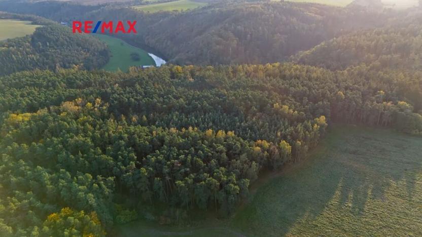 Prodej lesa, Všehrdy, 35057 m2