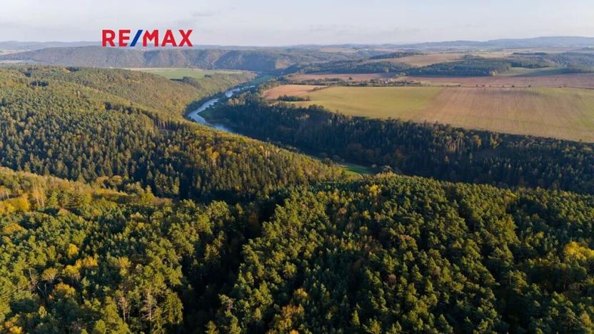 Prodej lesa, Všehrdy, 35057 m2