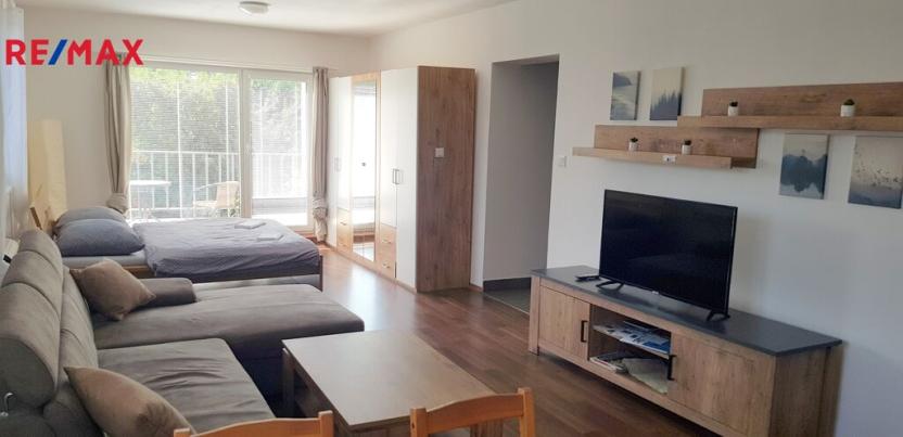 Pronájem bytu 1+kk, Hradec Králové - Nový Hradec Králové, Pod Zámečkem, 50 m2