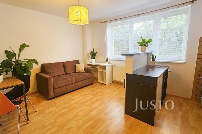 Pronájem bytu 1+kk, Písek - Pražské Předměstí, Přemyslova, 27 m2