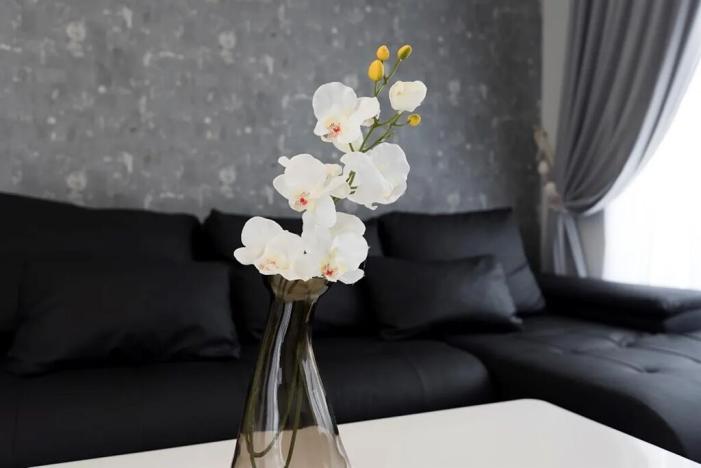 Prodej bytu 2+kk, Primorsko, Bulharsko, 104 m2