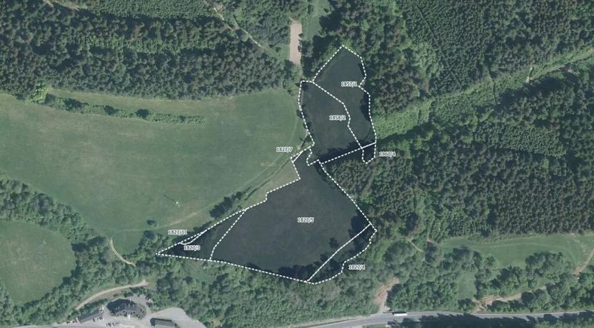 Prodej pole, Střelná, 21196 m2