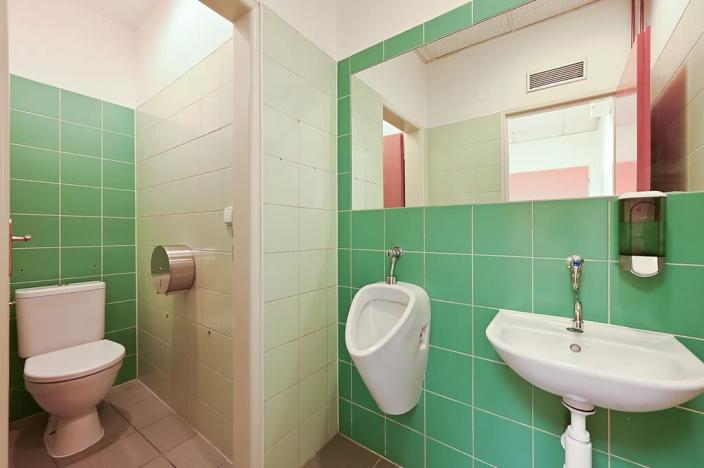 Pronájem obchodního prostoru, Brno, Horova, 132 m2