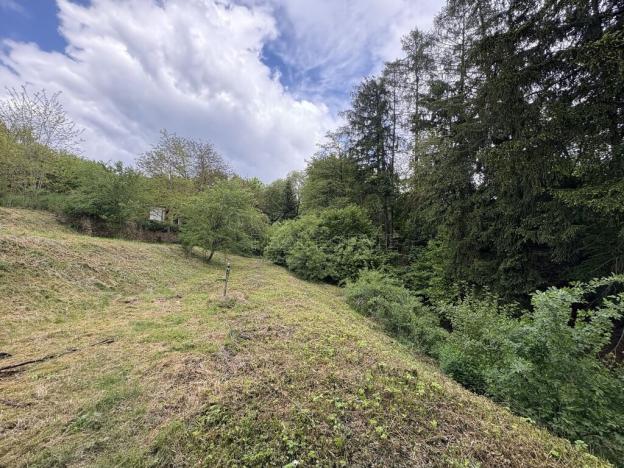 Prodej rodinného domu, Úžice - Radvanice, 200 m2