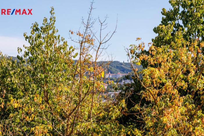 Prodej bytu 3+1, Karlovy Vary - Rybáře, Chomutovská, 60 m2
