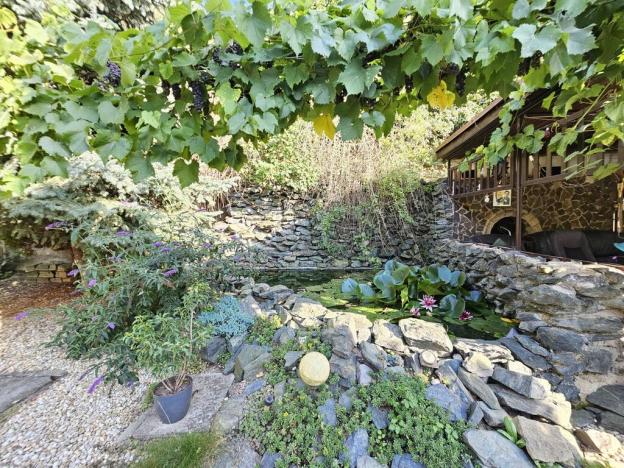 Prodej rodinného domu, Brno - Černovice, Vinohradská, 350 m2