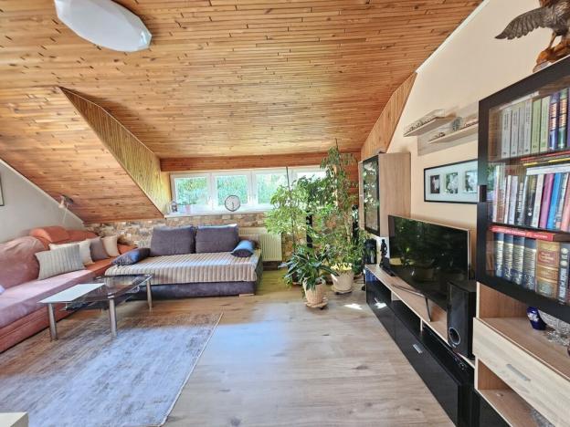 Prodej rodinného domu, Brno - Černovice, Vinohradská, 350 m2