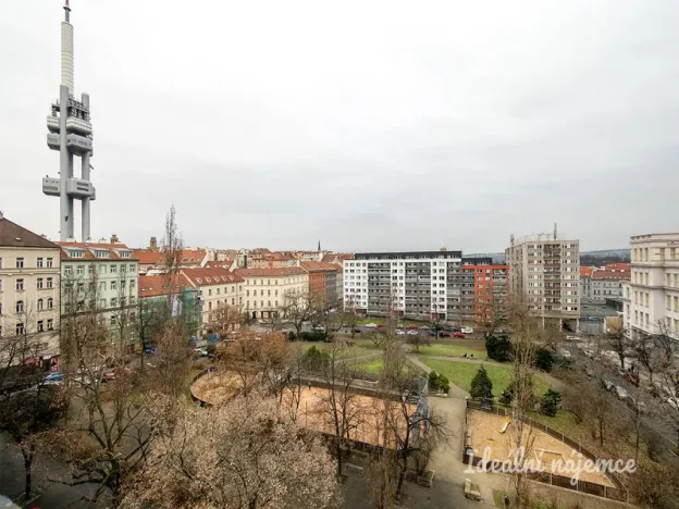 Pronájem bytu 2+kk, Praha - Žižkov, Žižkovo náměstí, 49 m2