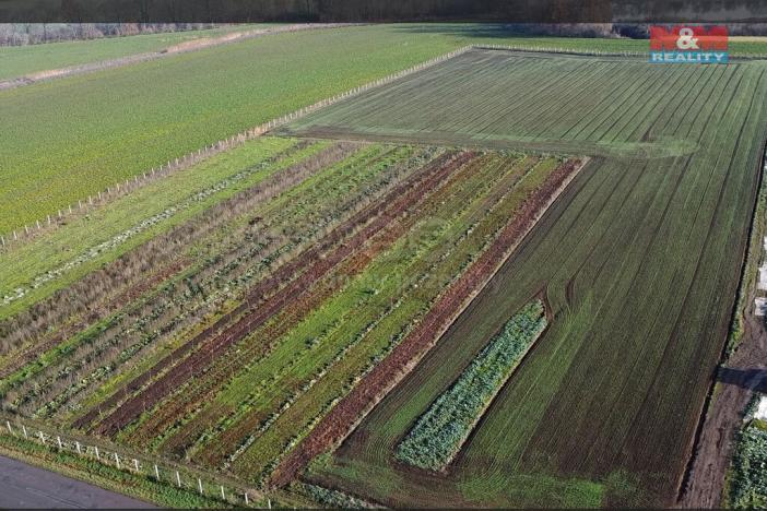 Prodej zahrady, Nové Dvory, 9979 m2