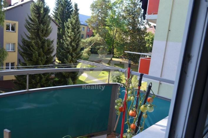 Prodej bytu 3+1, Jeseník, 77 m2