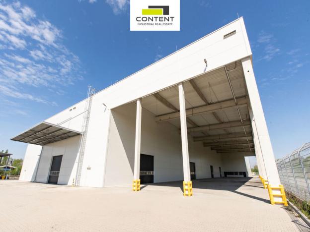 Pronájem výrobních prostor, Paskov, U Terminálu, 6000 m2