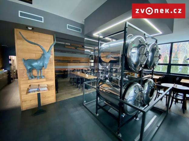 Prodej obchodního prostoru, Holešov, Novosady, 500 m2